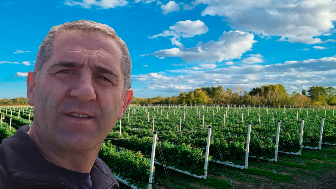 Визит участников российской ягодной отрасли в Сербию / «Технологии выращивания малины и вишни в Сербии»