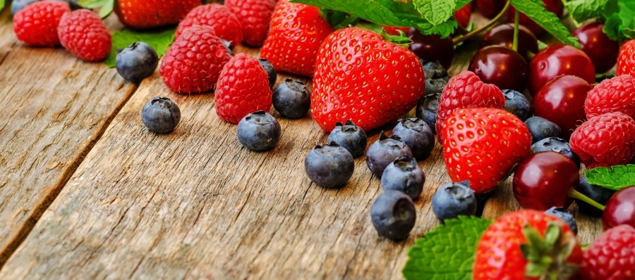 The 2nd International Conference «Berries of Russia 2019»